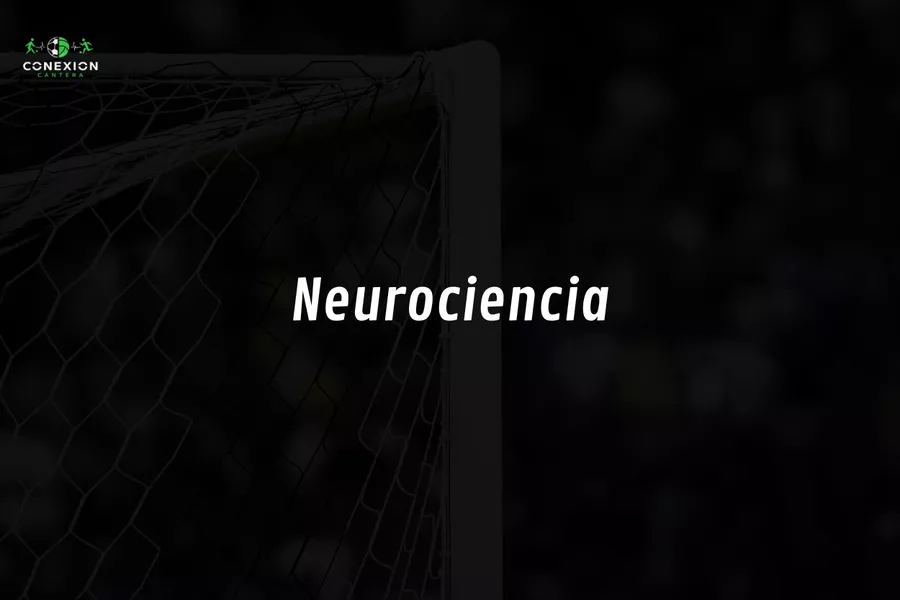 Neurociencia